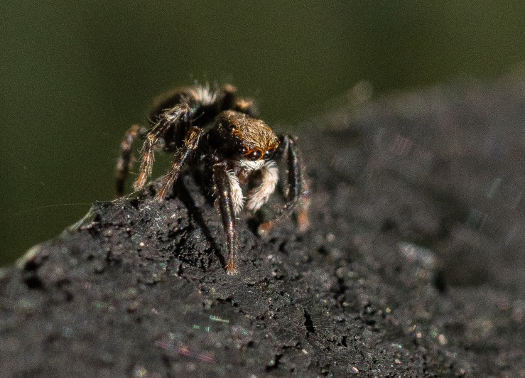 GDN-19-4-2020-hi-res-16