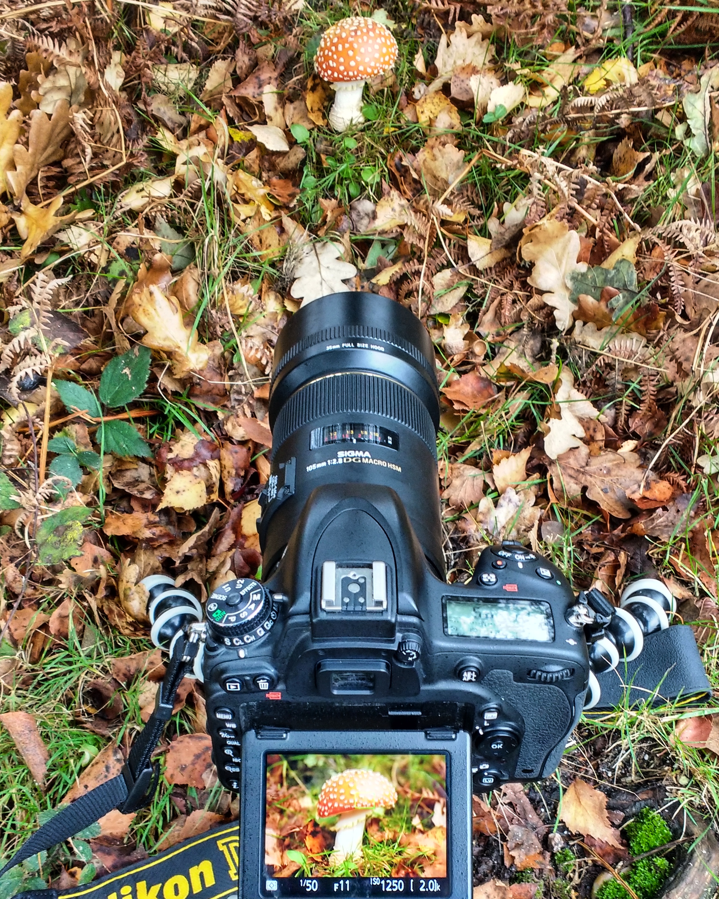 IMG_20171024_092411_982