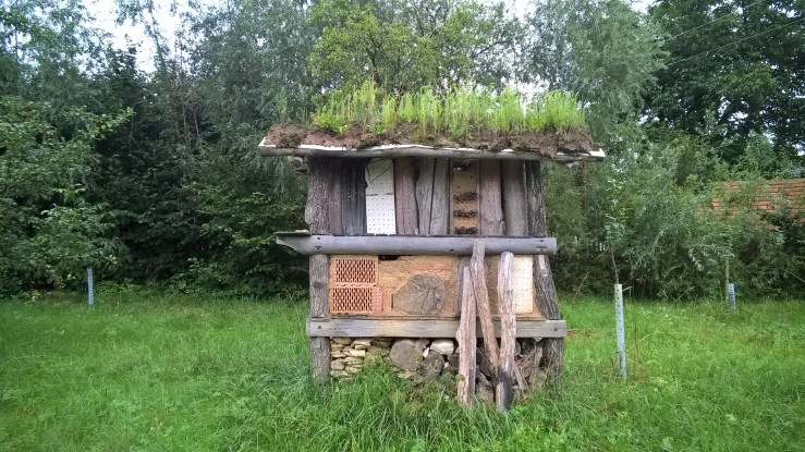 WP_20160805_17_53_03_Pro