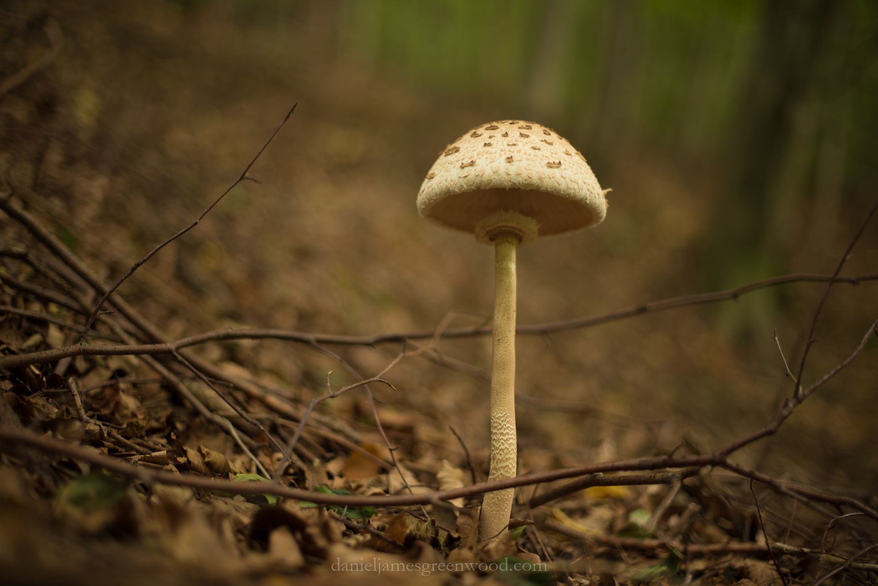 Czechia 2017 lo-res djg-133