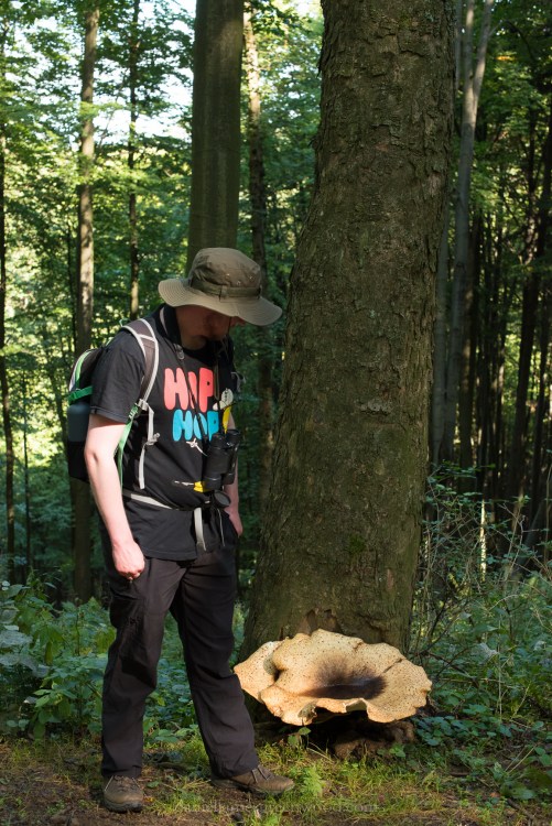 Czechia 2017 lo-res djg-18