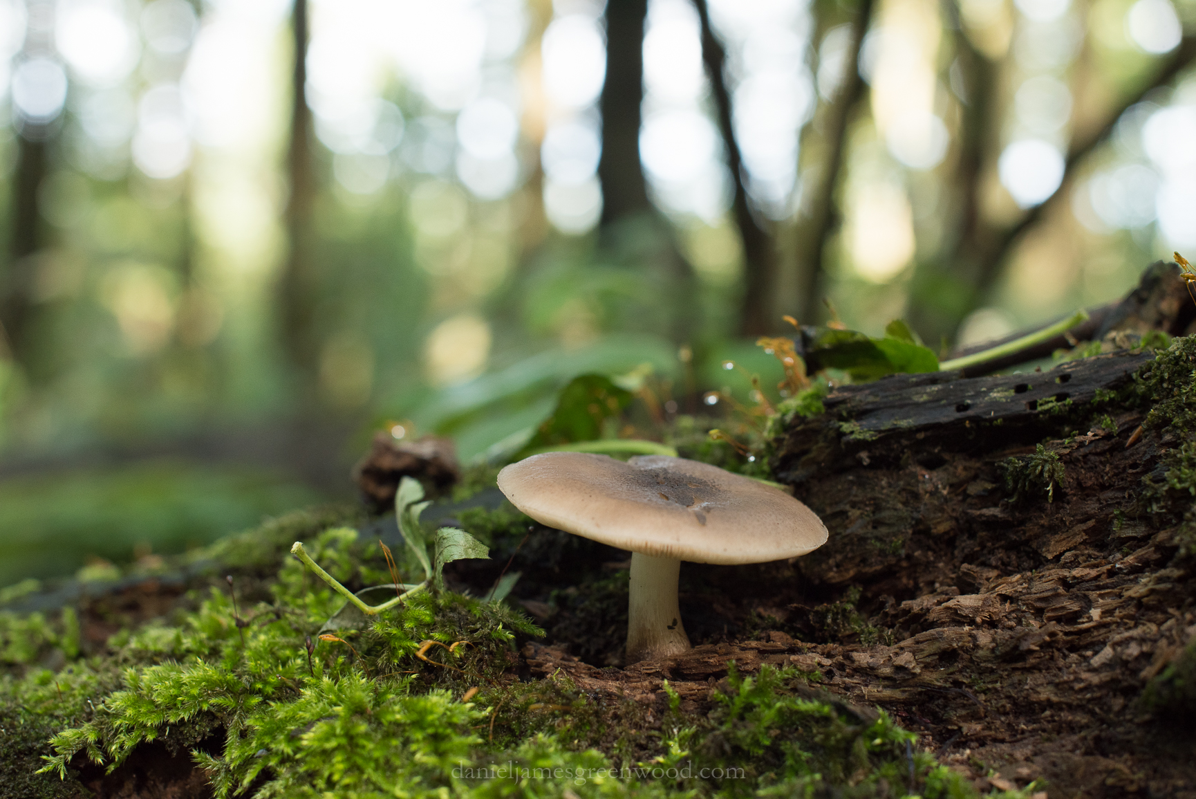 Czechia 2017 lo-res djg-20