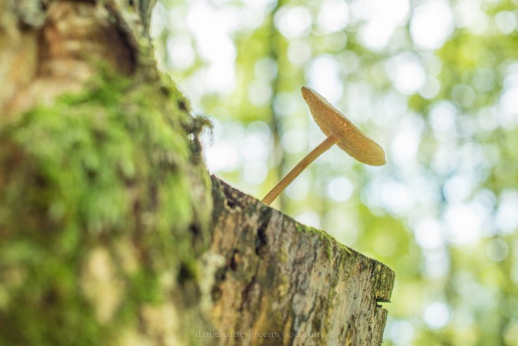 Czechia 2017 lo-res djg-28