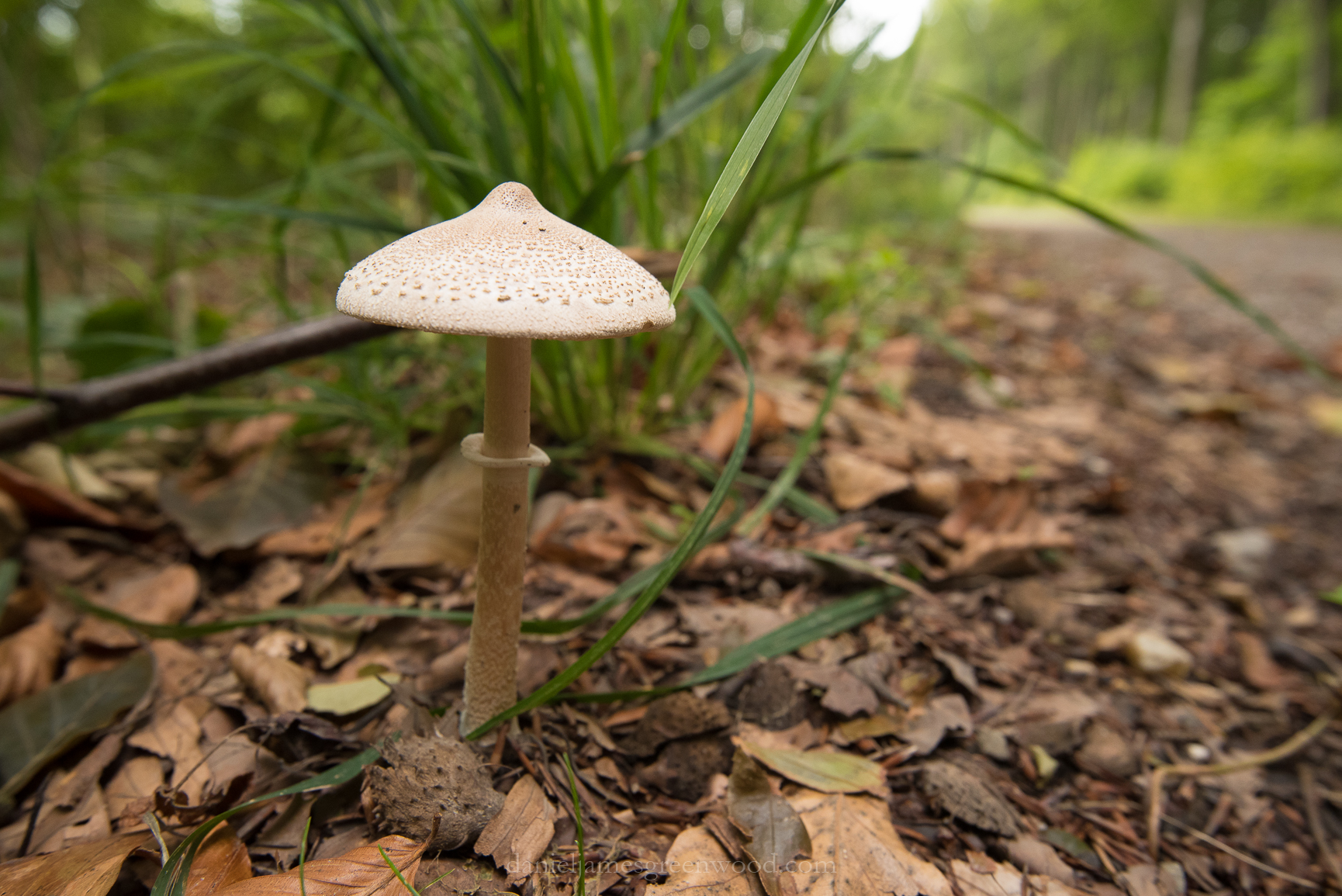 Czechia 2017 lo-res djg-43