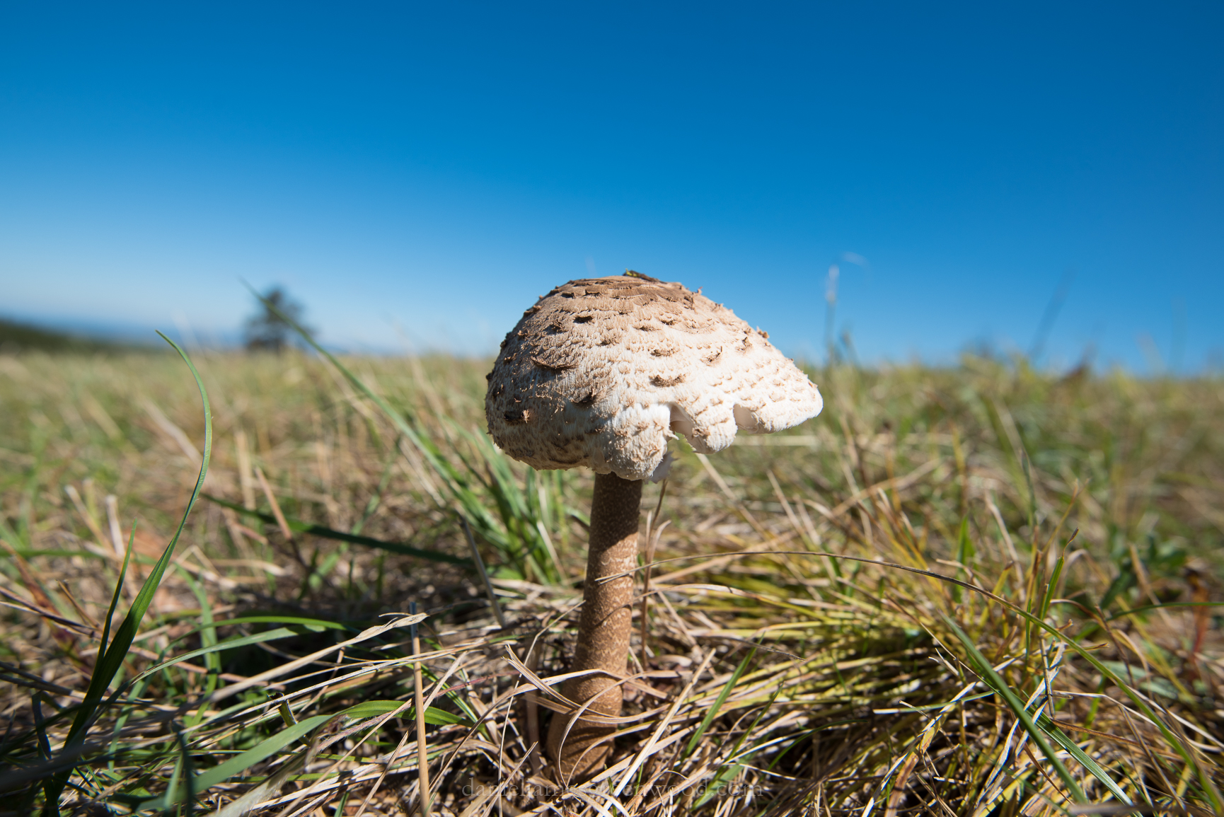 Czechia 2017 lo-res djg-75