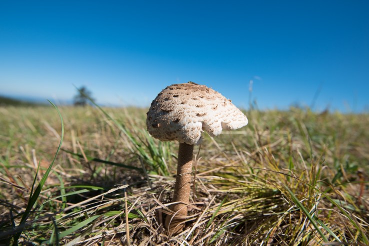 Czechia 2017 lo-res djg-75