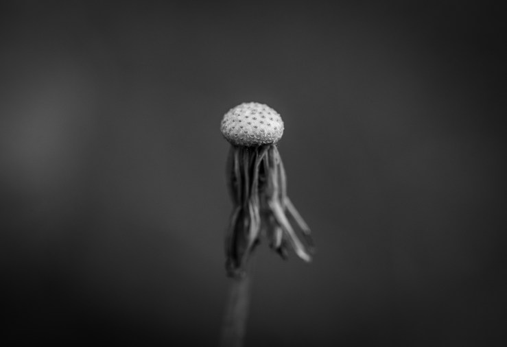 GDN-13-5-2020-hi-res-13