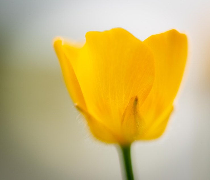 GDN-13-5-2020-lo-res-05