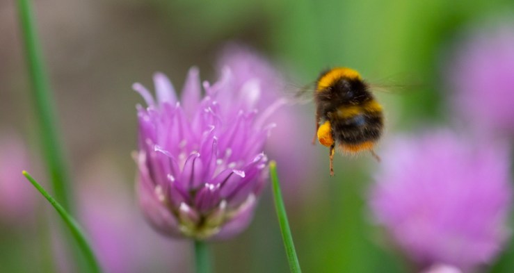 GDN-13-5-2020-lo-res-07