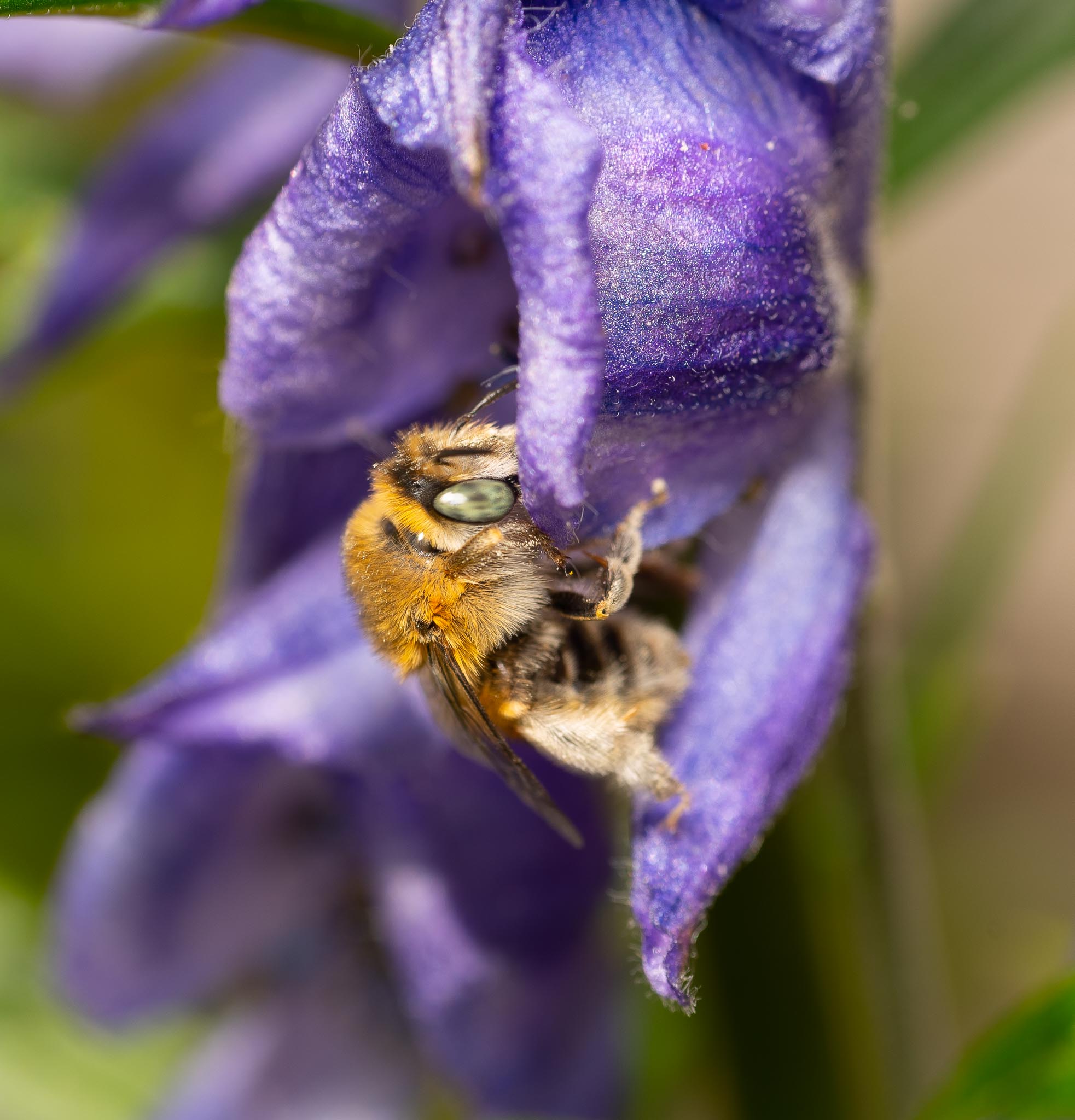 GDN - 16-5-2020-lo-res-09