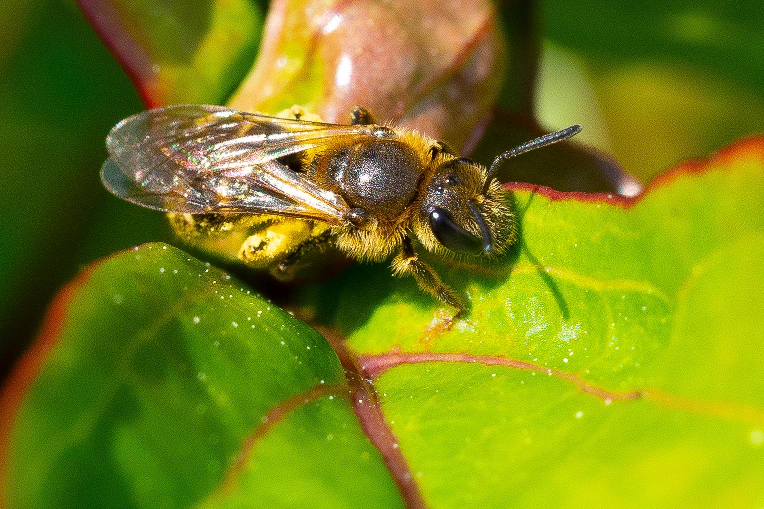 GDN-6-5-2020-lo-res-14