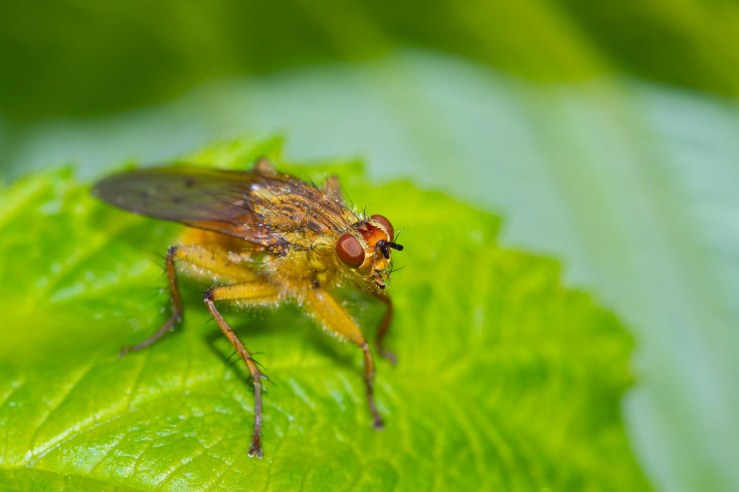 GDN-6-5-2020-lo-res-32