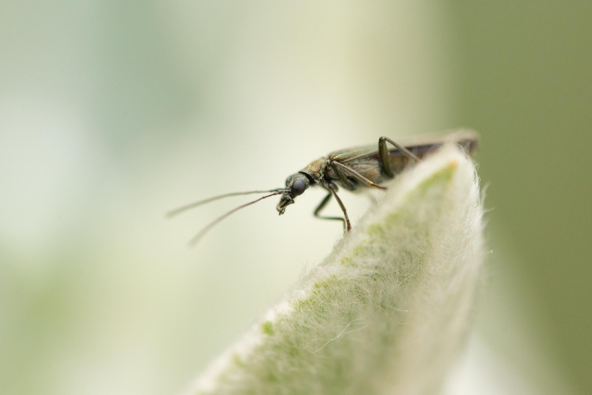 GDN-9-5-2020-lo-res-20