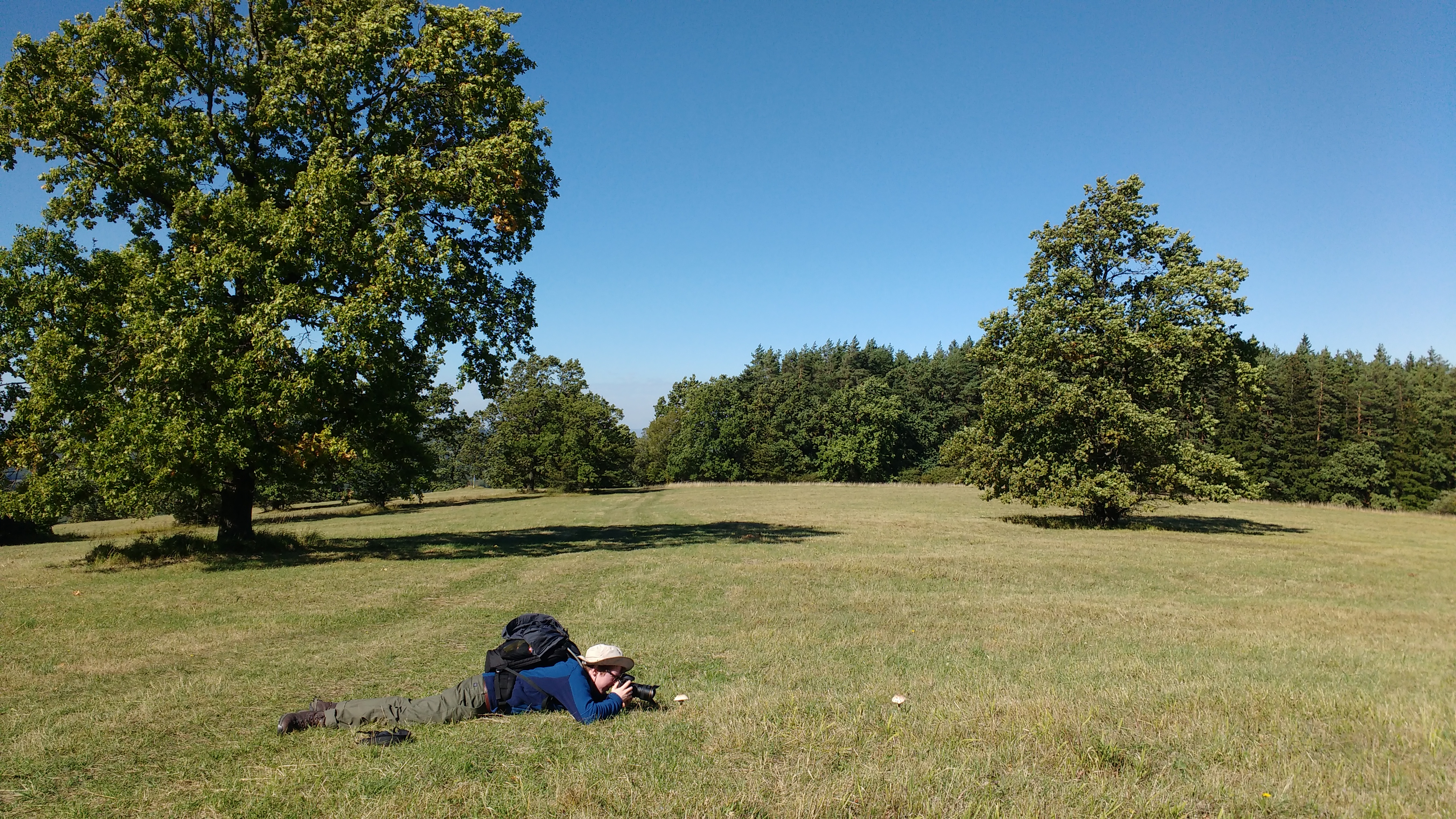 IMG_20170914_112829124