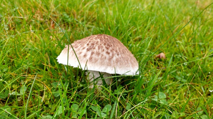 IMG_20180918_121133071_HDR