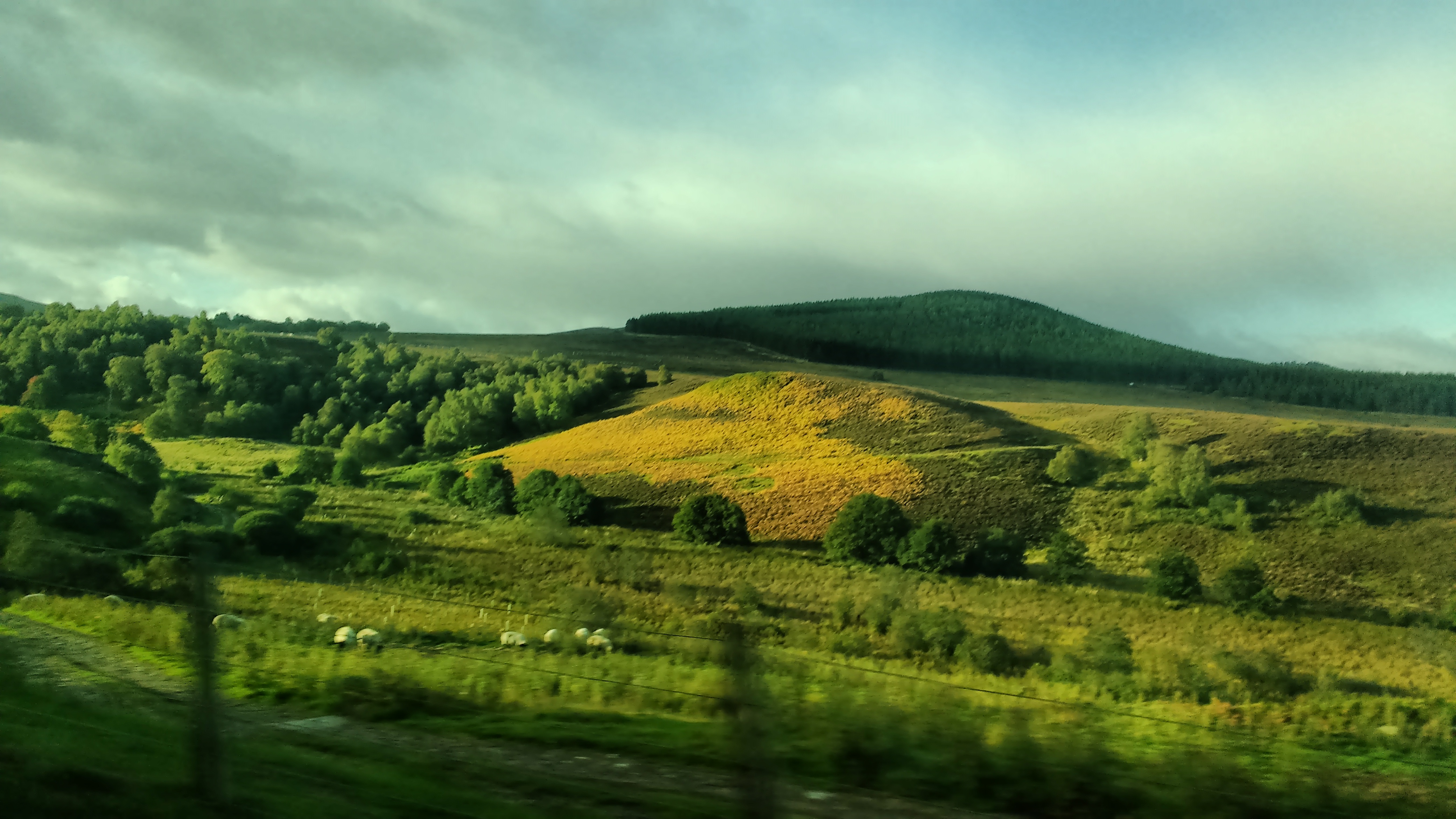 IMG_20180920_082927299