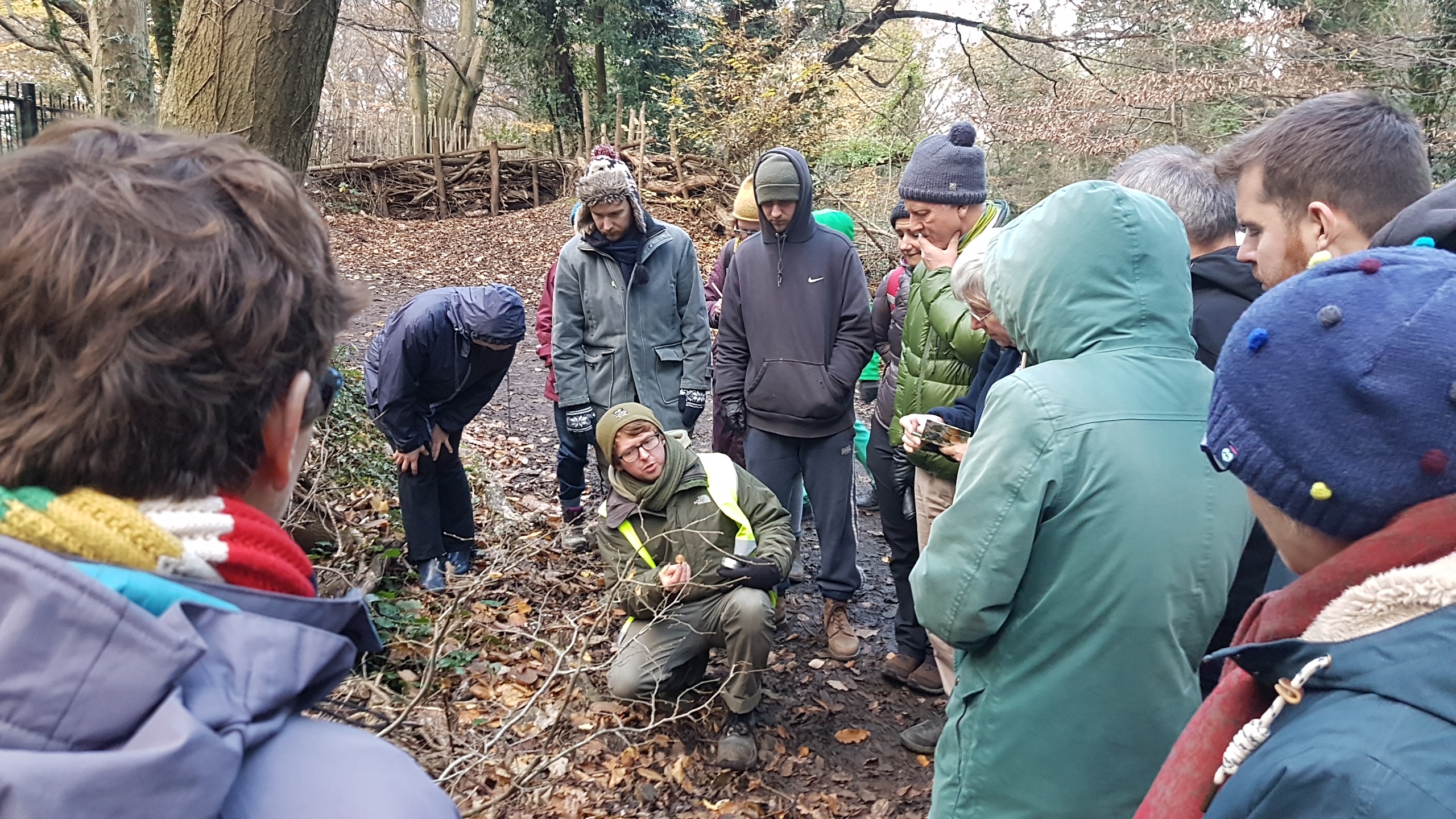 RS2354_Daniel Greenwood Sydenham Hill Wood mushroom 26-11-2017