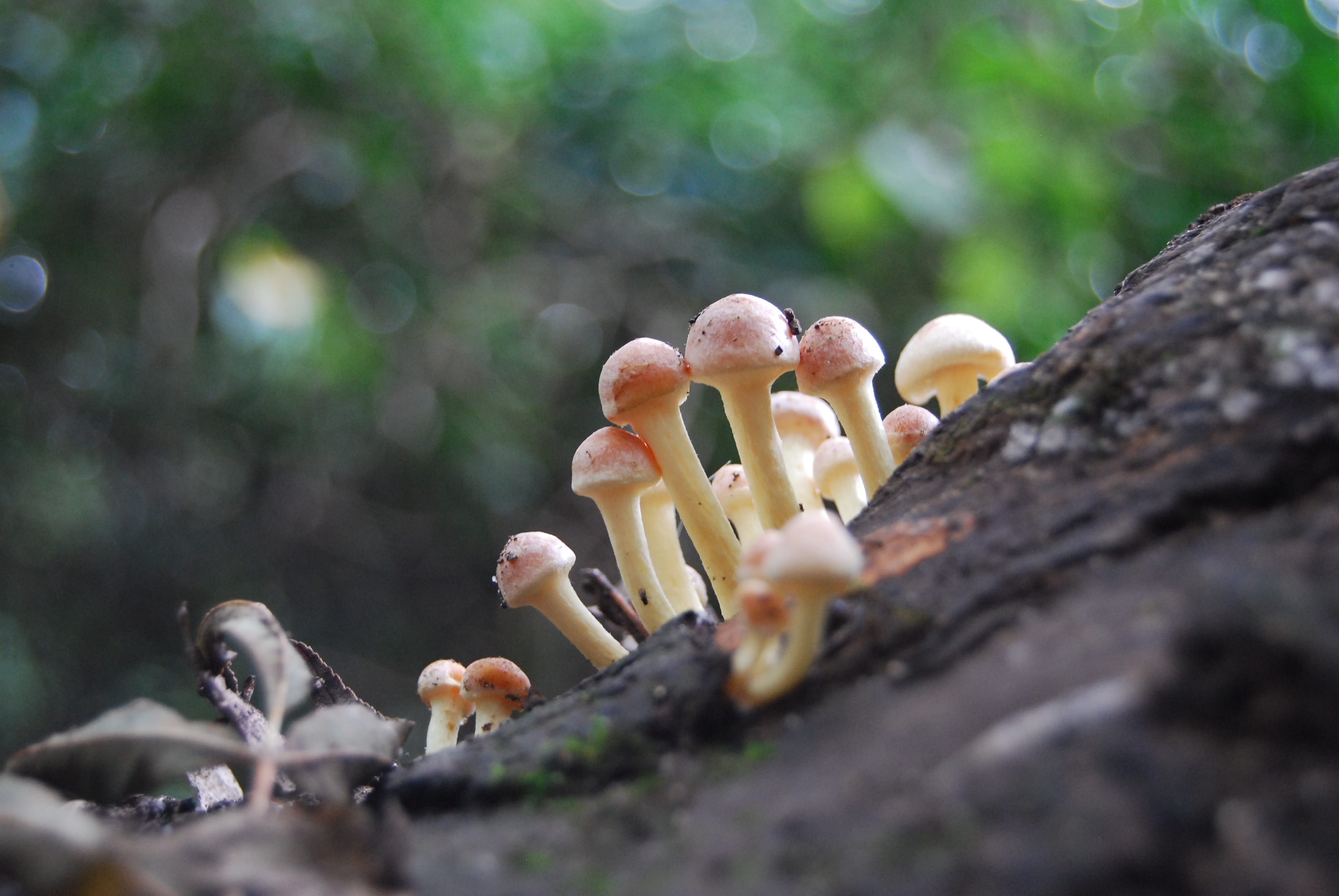 SHW September 2011 (49)