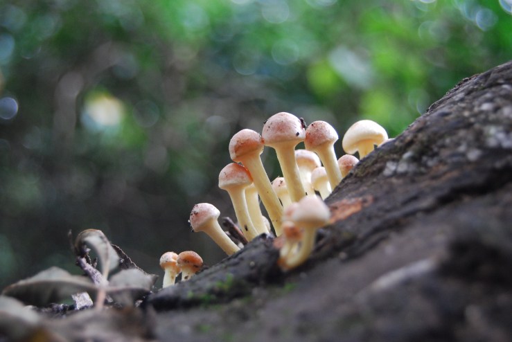 SHW September 2011 (49)