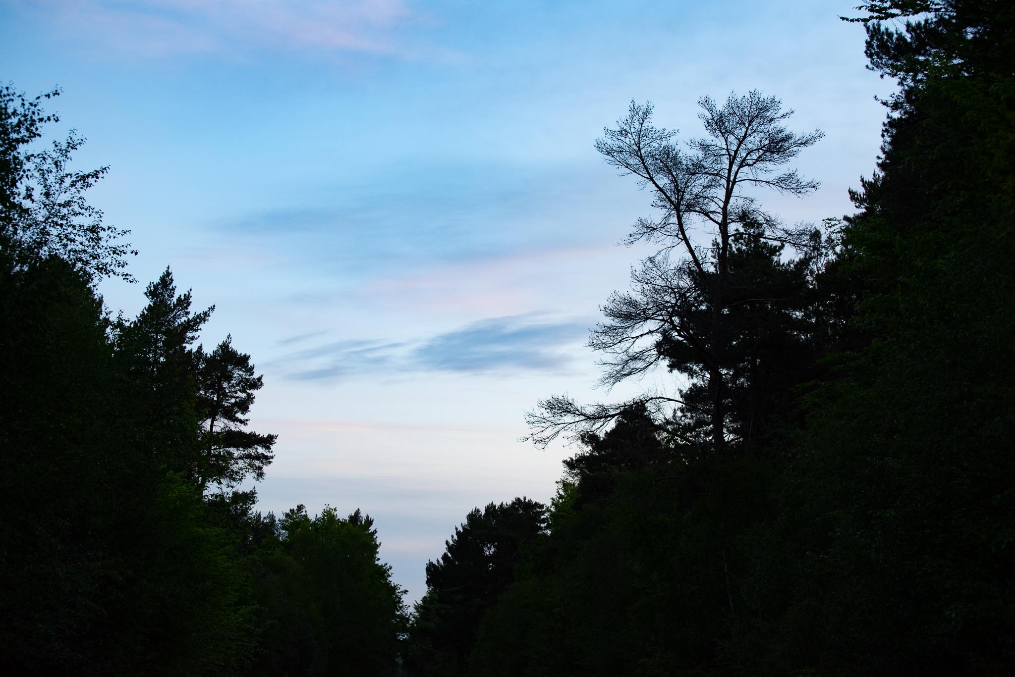 Dawn-8-5-2020-lo-res-12