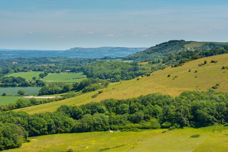 SD - 1-6-2020-lo-res-32