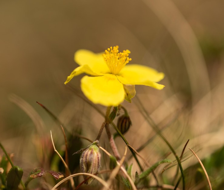 SD - 1-6-2020-lo-res-33