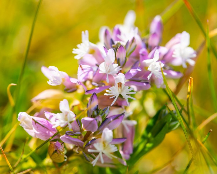 SD - 1-6-2020-lo-res-47