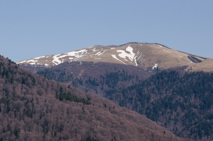 Carpathians-140