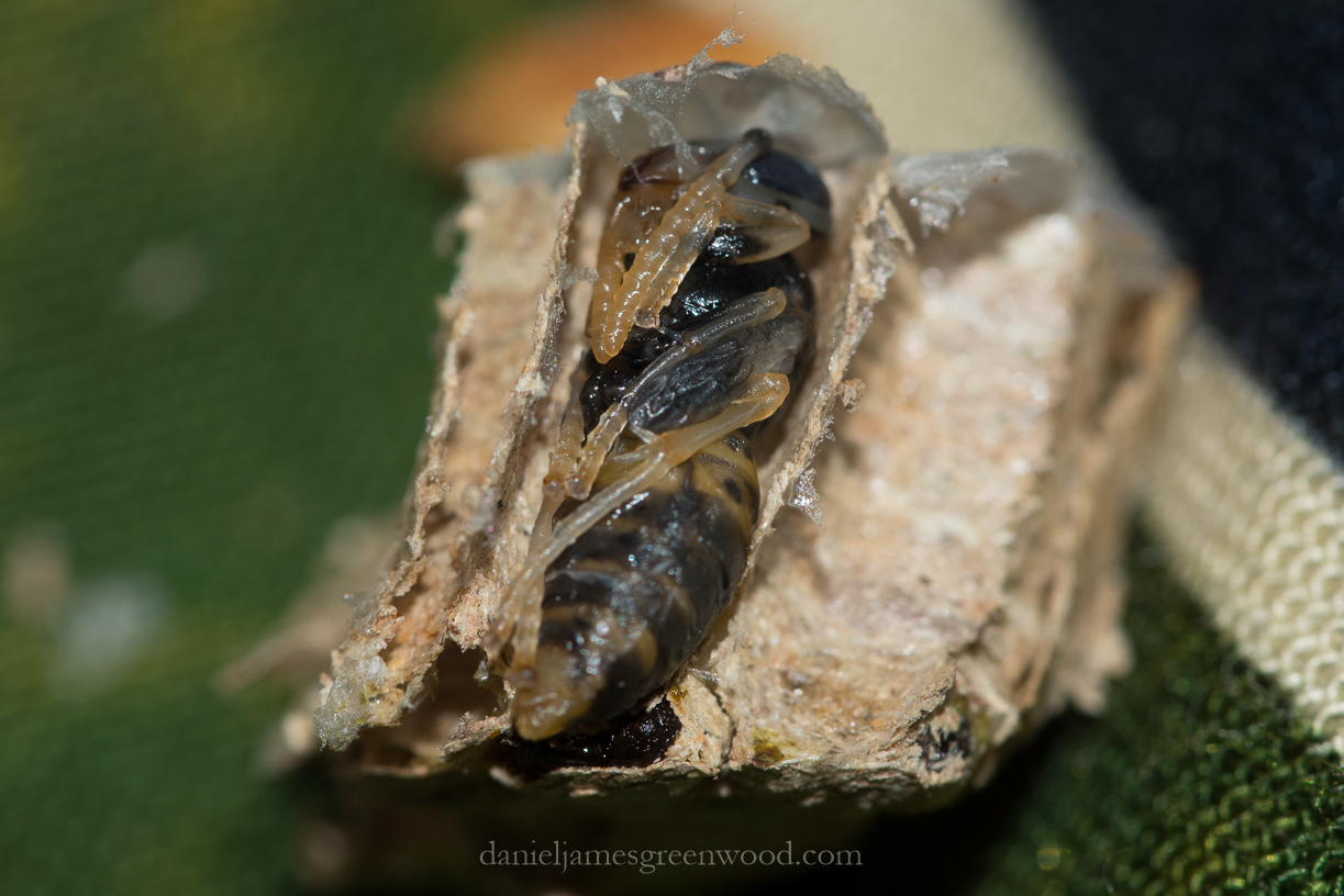 Czech Rep 2016 blog-33.jpg