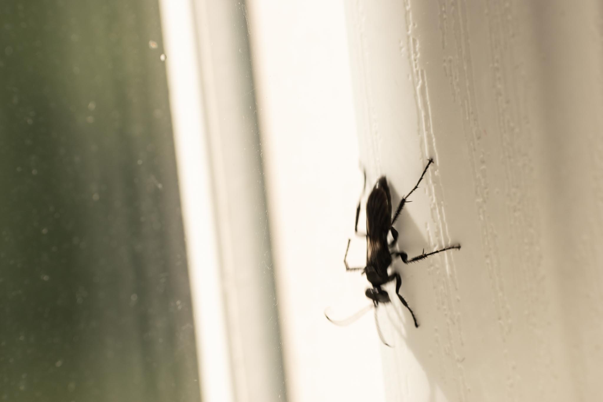 GDN 18-7-2020-lo-res-2