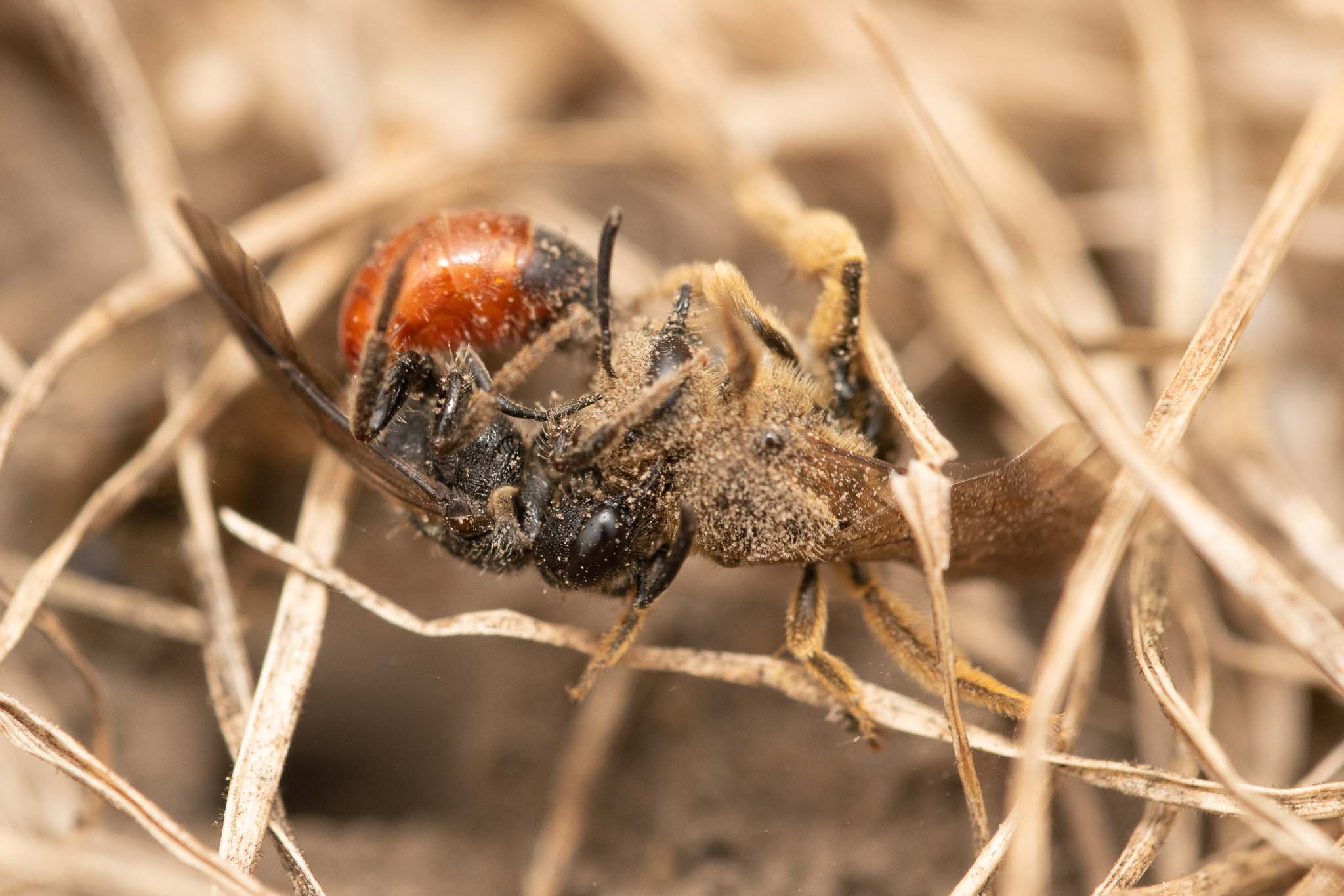 GDN_6-7-2020_lo-res-08