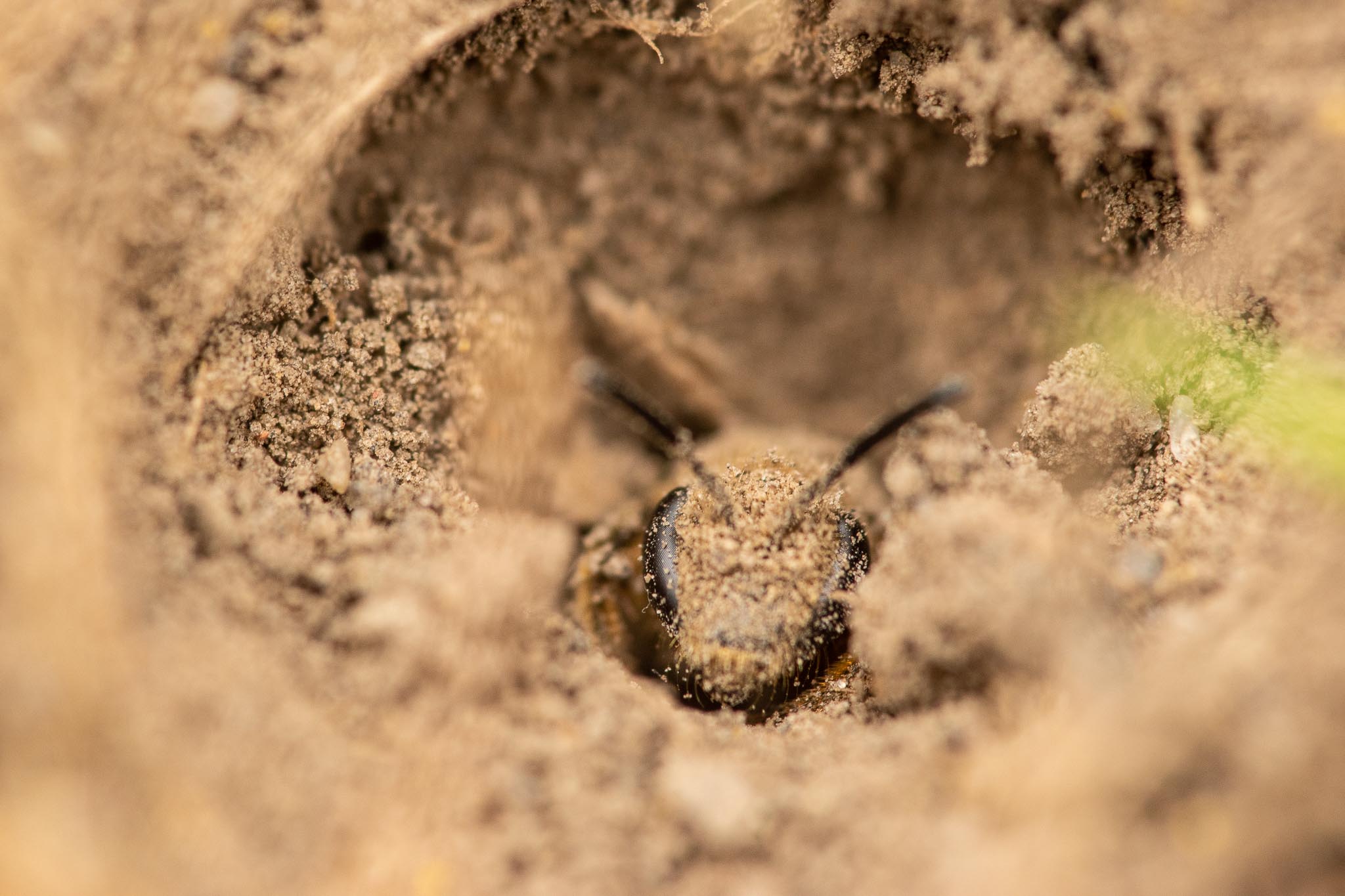 GDN_7-7-2020-lo-res-05