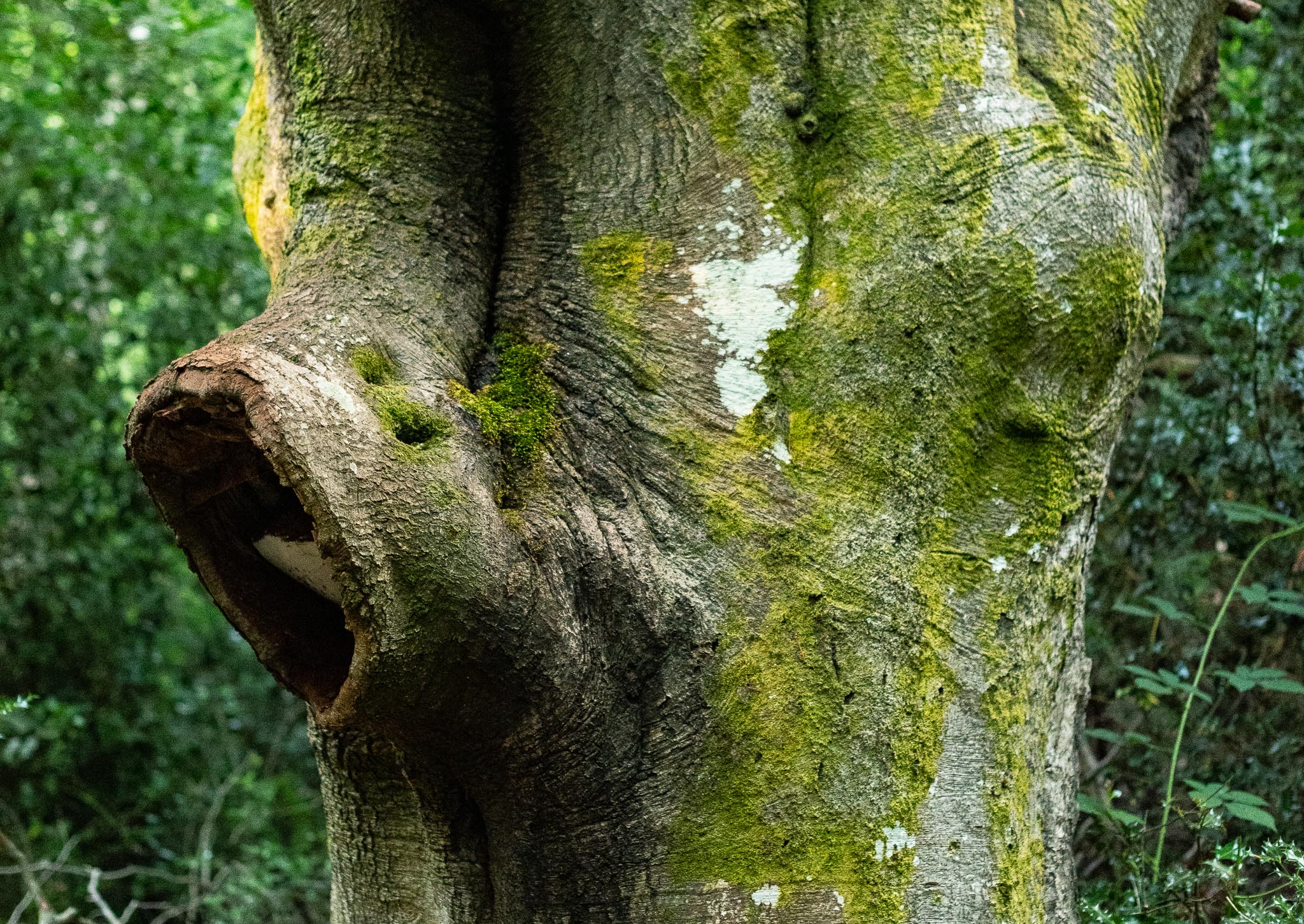 SLF_21-7-2020-lo-res-8