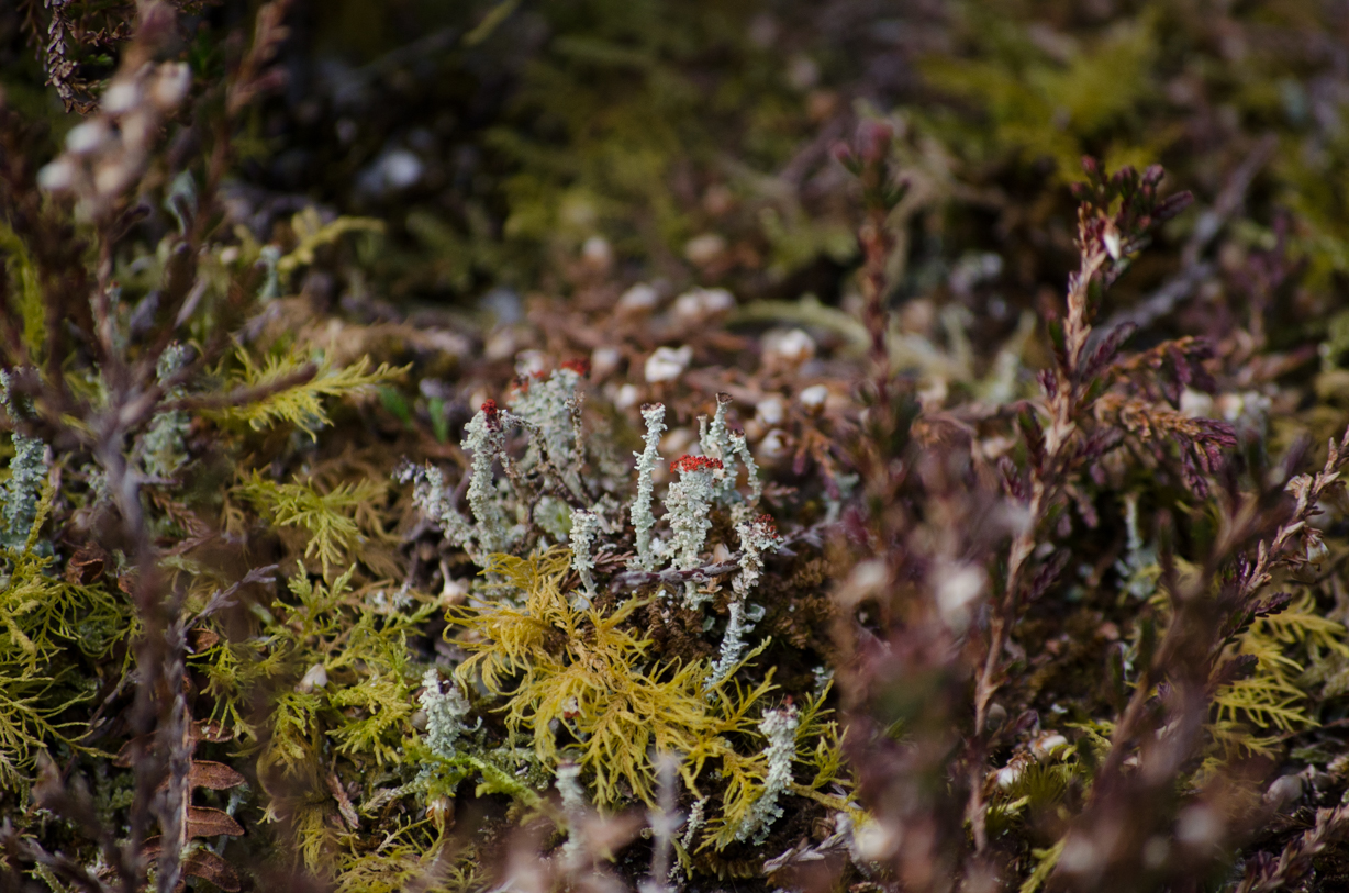 ireland-april-2013-lo-res-109
