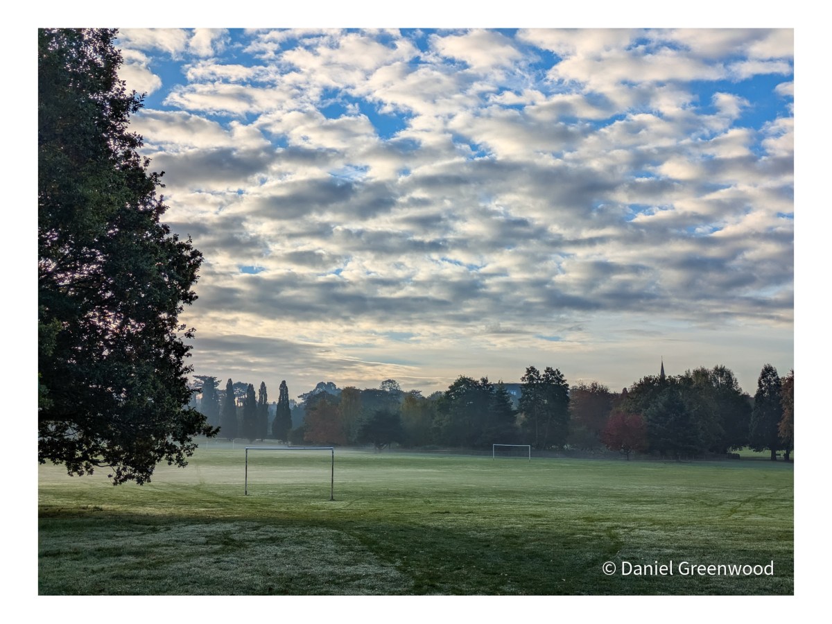 November 2025: beware of&nbsp;pity