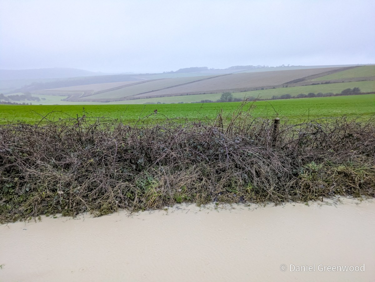 Winter-spring 2026: the loud&nbsp;lie