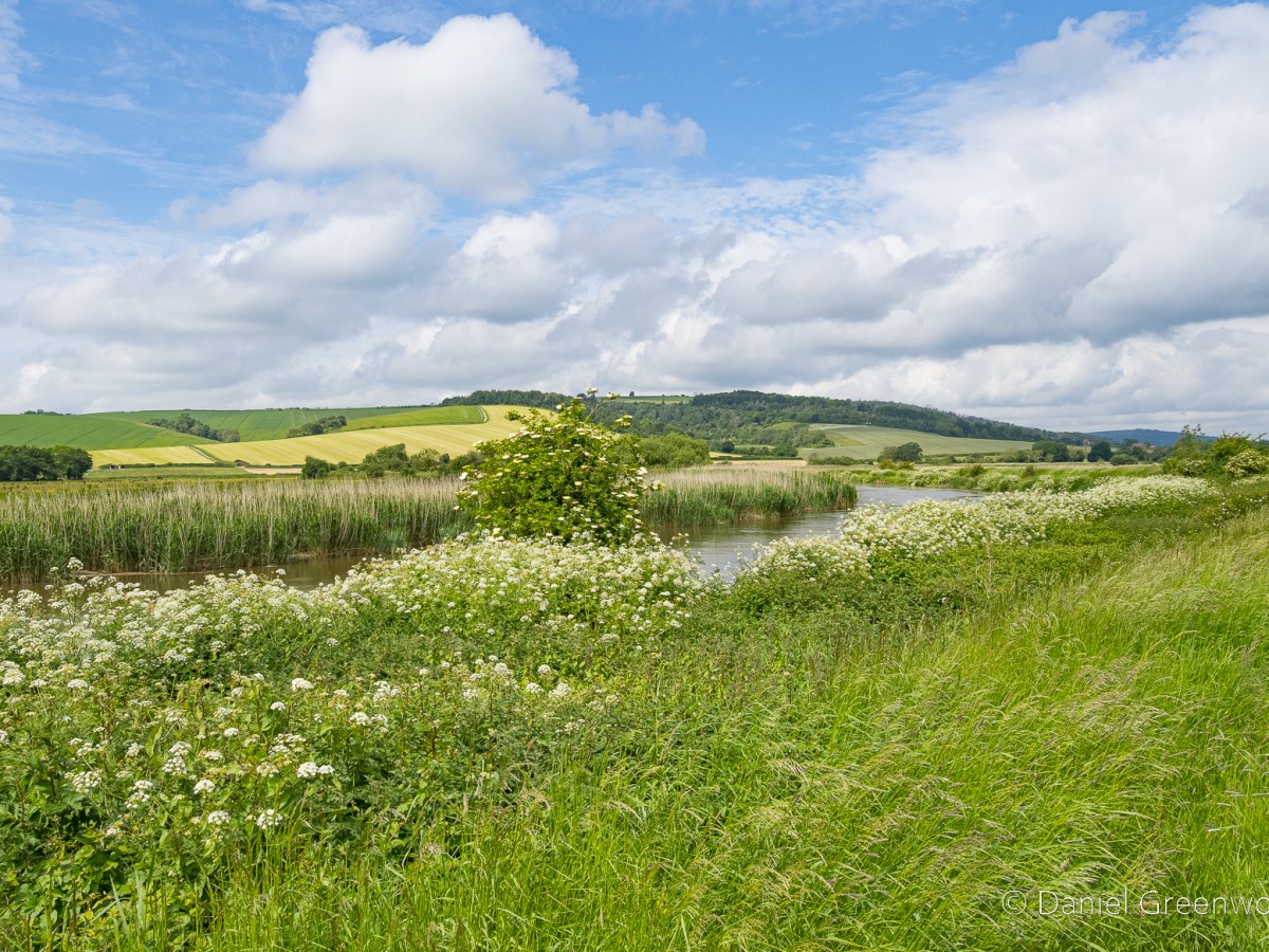 South Downs: early summer in the Arun&nbsp;valley