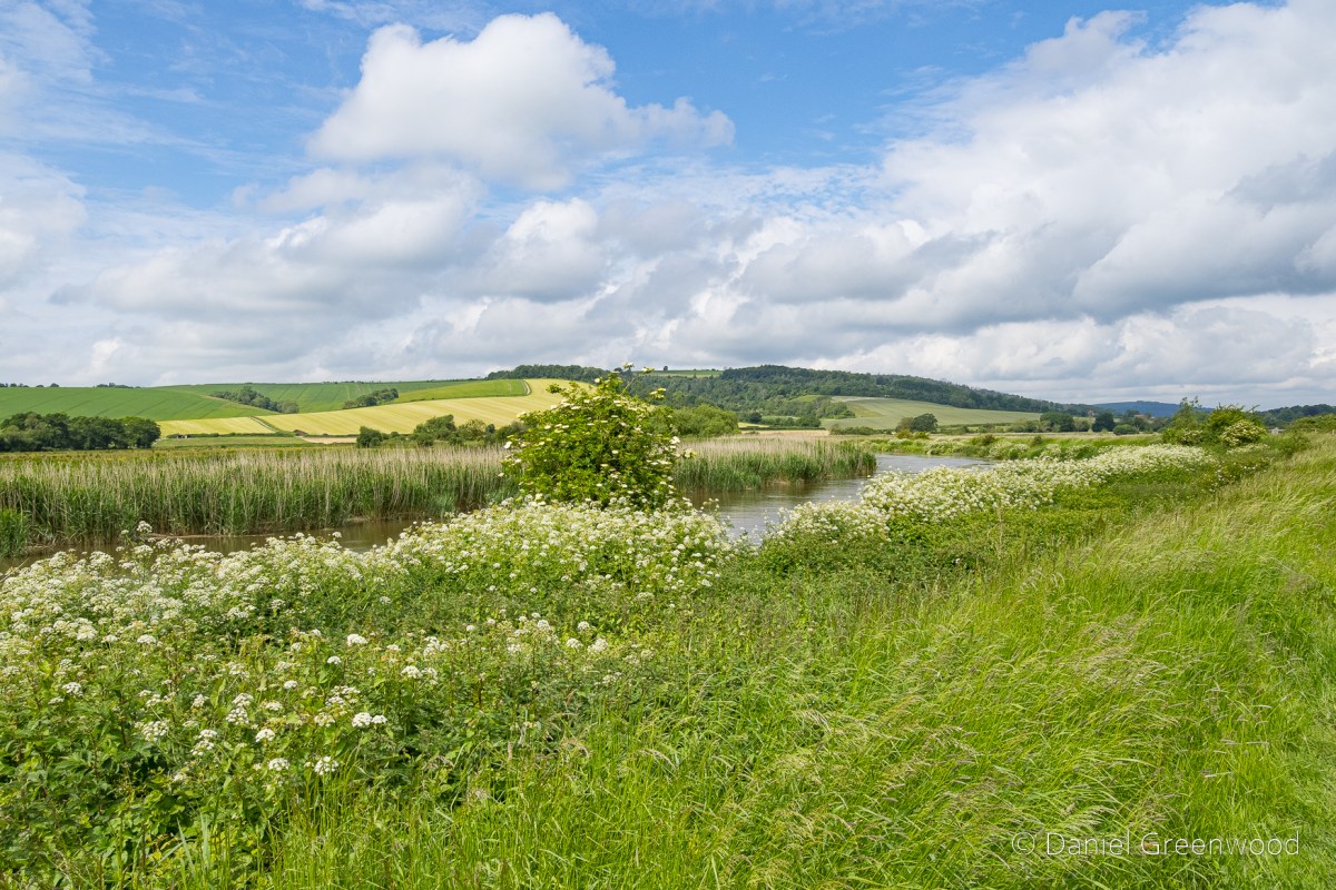 South Downs: early summer in the Arun&nbsp;valley