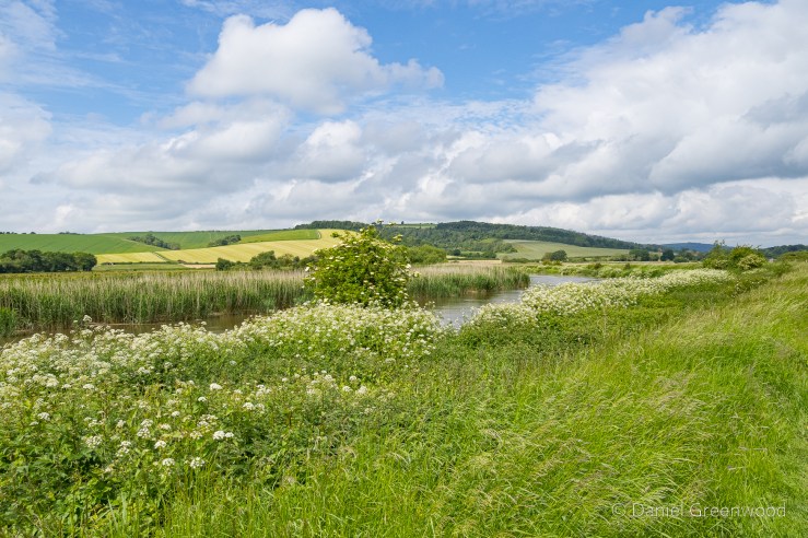 South Downs: early summer in the Arun&nbsp;valley