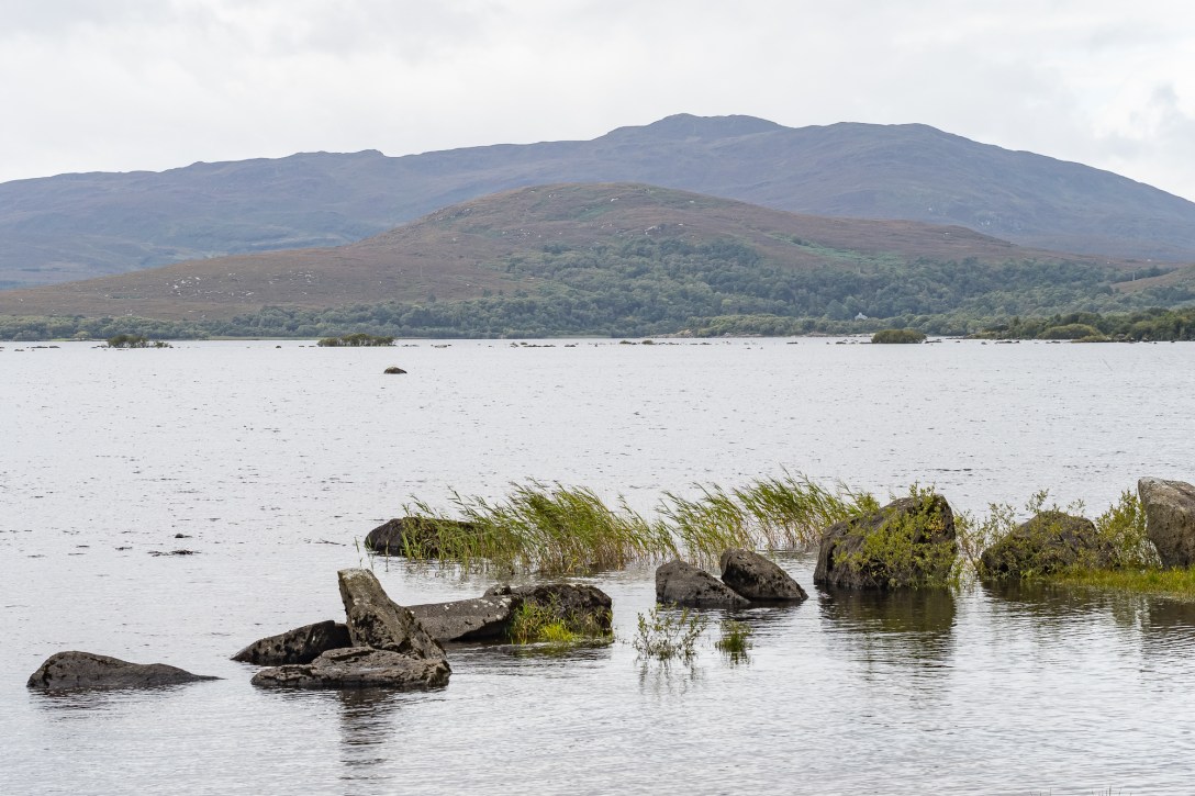 Lough Cullin, with mountains in the distance below a cloudy sky. There are rocks and grasses scattered across the water in the foreground.